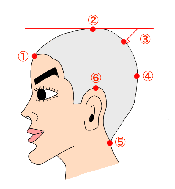 １ 美容技術理論とは まとめ Korebi コレビ 美容師国家試験合格 過去問解説