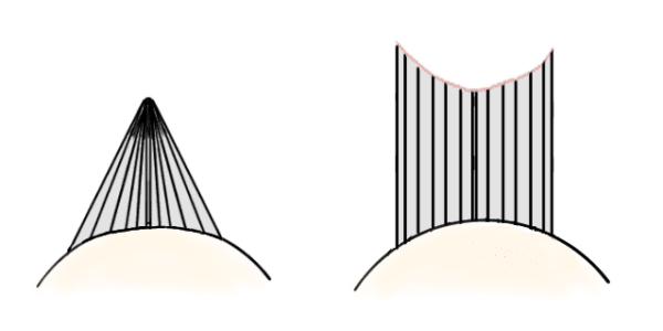 ５ ヘアカッティング ヘアカットの基礎 まとめ Korebi コレビ 美容師国家試験合格 過去問解説